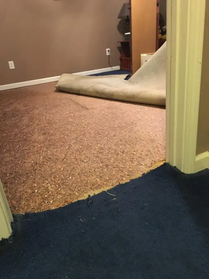 Carpet pad removal revealing water damage during Drying & Dehumidification in Upper Moreland