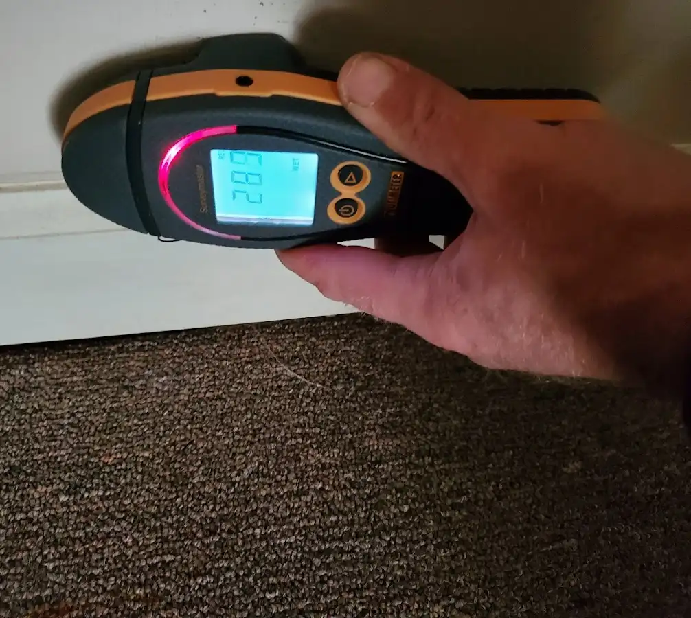 Moisture detection at baseboard during Mold Inspection & Testing in Upper Moreland